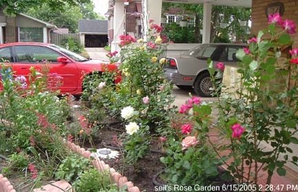 'Seil' , click to enlarge 'Seil'  photo