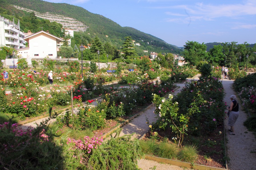 'Roseto di San Giovanni - Trieste' , click to enlarge 'Roseto di San Giovanni - Trieste'  photo