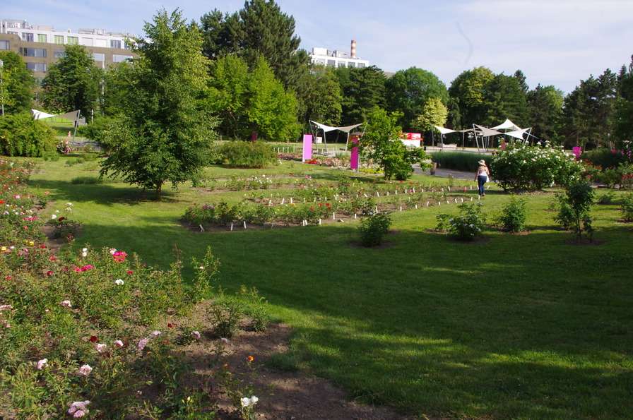 'Botanical Garden Olomouc'  photo