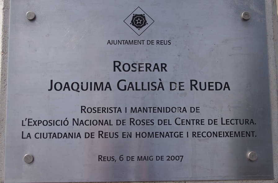 'ROSERAR  JOAQUIMA  GALLISA  DE  RUEDA'  photo