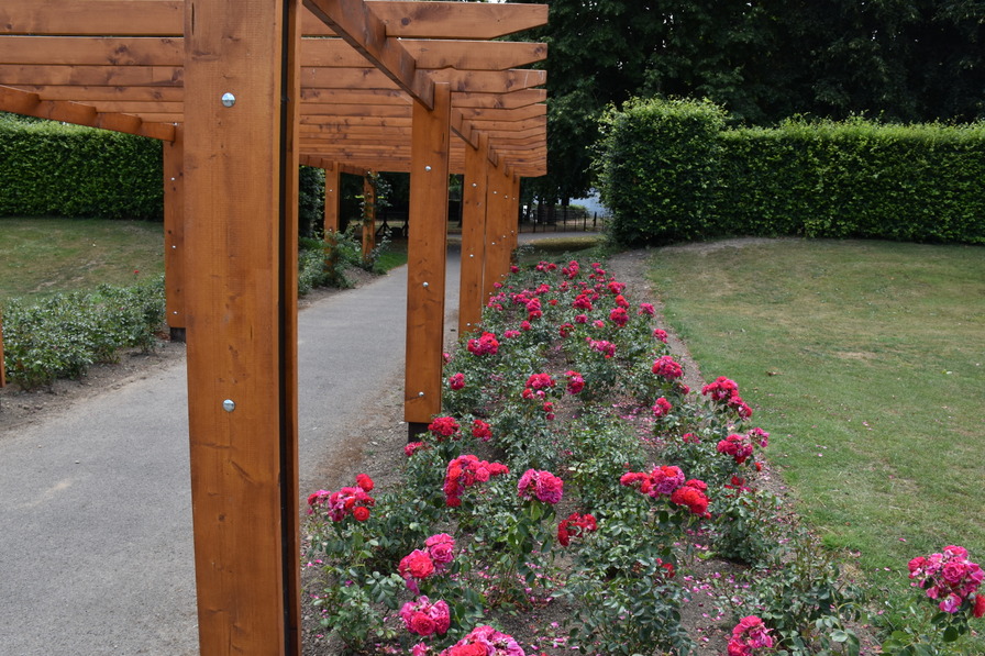 'SAINT  ANNE'S  ROSE  GARDEN'  photo