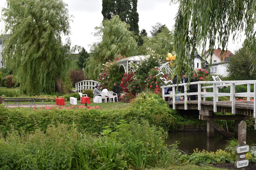 'Rosarium der Stadt Uetersen'  photo