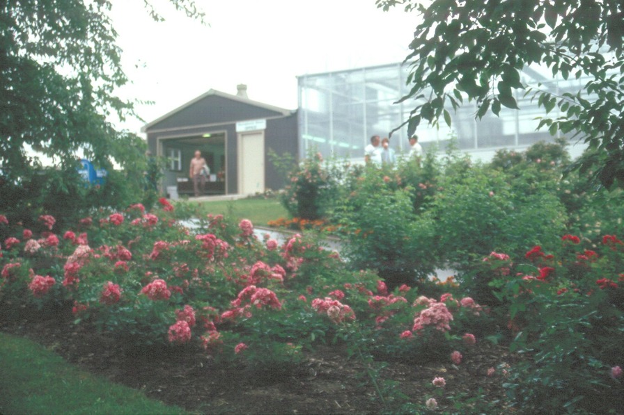 'Laver, Keith G.' , click to enlarge 'Laver, Keith G.'  photo