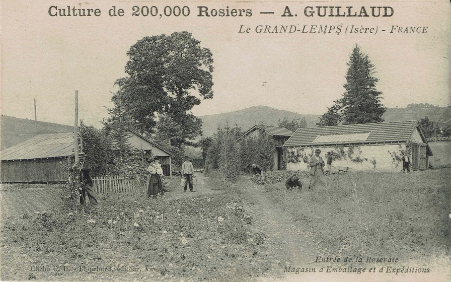 'Guillaud, Auguste'  photo