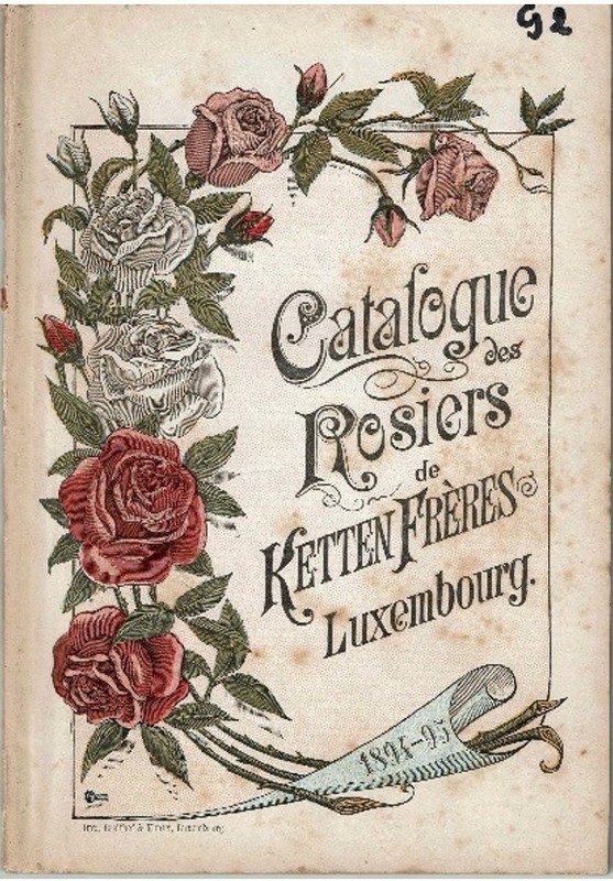 'Catalogue des Rosiers de Ketten Frères, Luxembourg 1893/1894'  photo