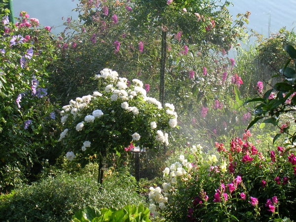 'Marianna Malik'  photo