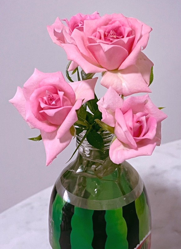 'Overnight Scentsation ™' rose photo