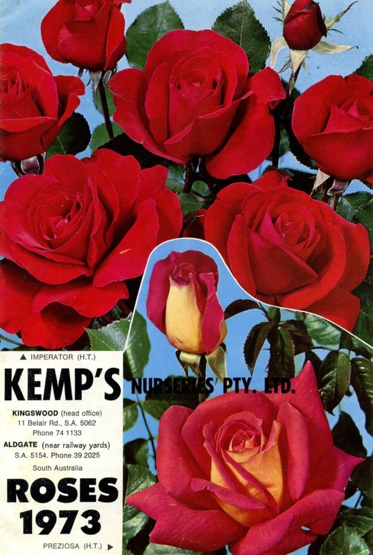 'H. Kemp'  photo