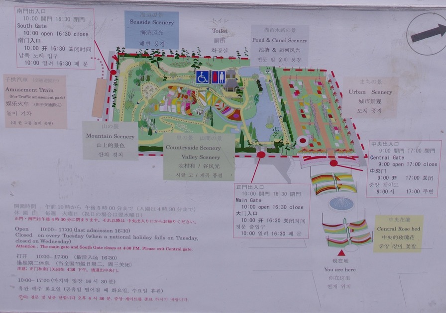 'Hamadera Park Rose Garden' , click to enlarge 'Hamadera Park Rose Garden'  photo