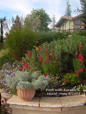 'Portola Valley Garden' , click to enlarge 'Portola Valley Garden'  photo