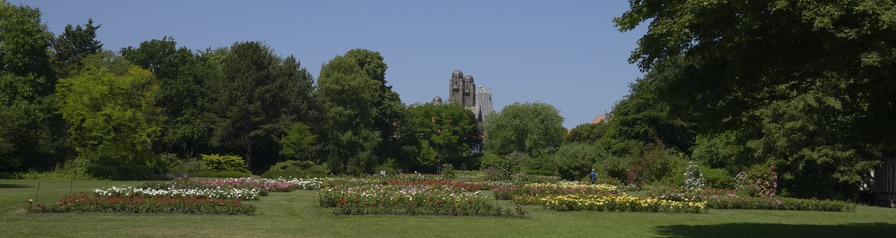 'Westbroekpark'  photo