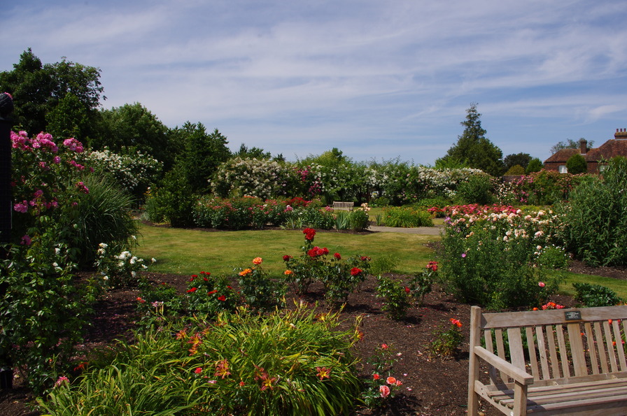 'Gardens of the Rose (St. Albans)'  photo