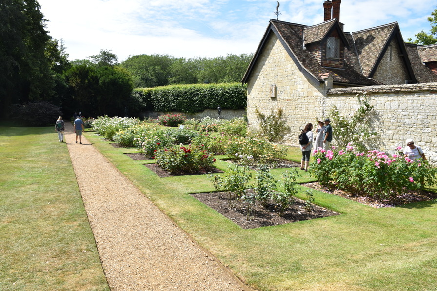 'Anglesey Abbey'  photo