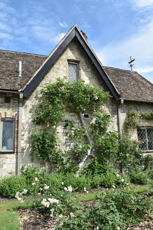 'Anglesey Abbey'  photo