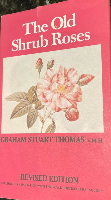 'The Old Shrub Roses'  photo