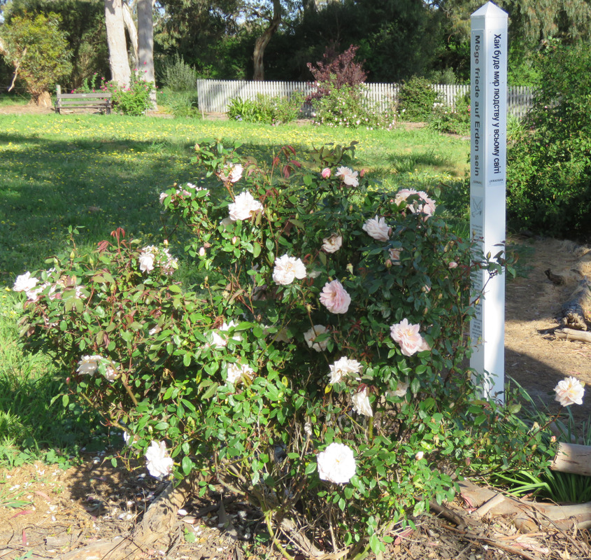 'Blakiston Schoolhouse'  photo