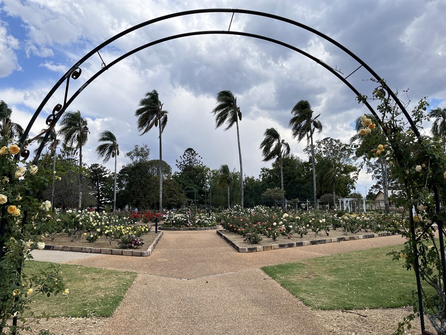 'Newtown Park and Queensland State Rose Garden'  photo