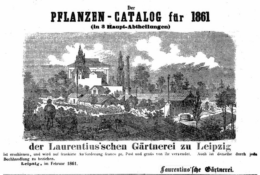 'Laurentius, Hermann'  photo