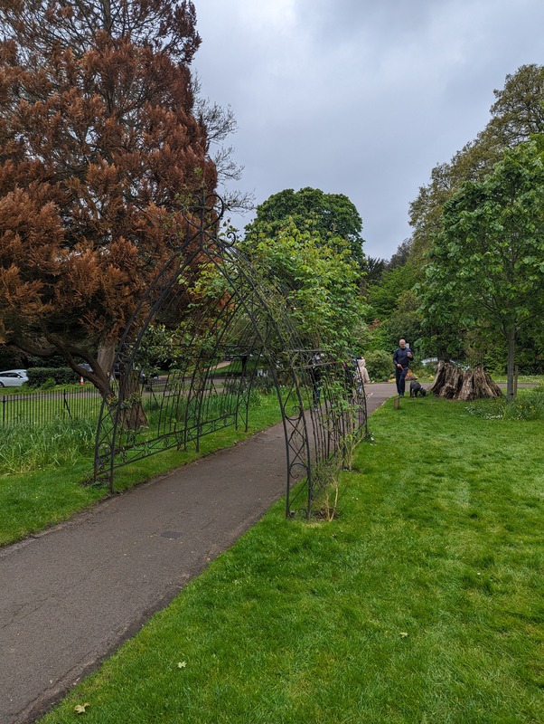 'Bath Botanical Garden'  photo