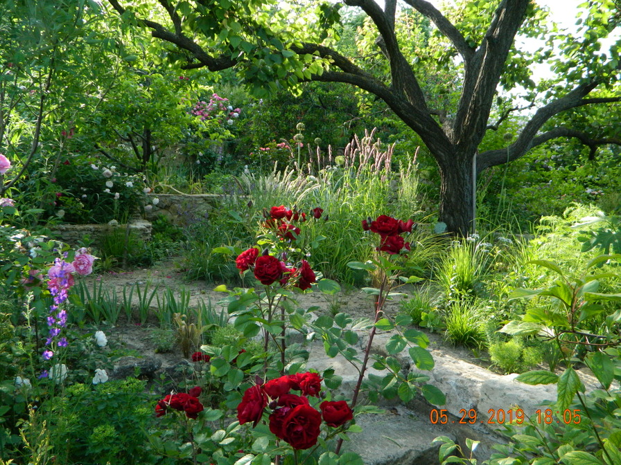 'Garden of the Mykytynets family'  photo