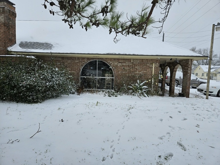'Britt's Backyard'  photo