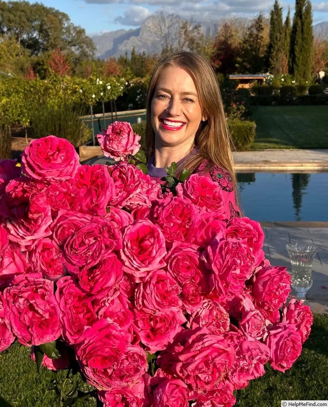 'Natalie Douglas' rose, click to enlarge 'Natalie Douglas' rose photo