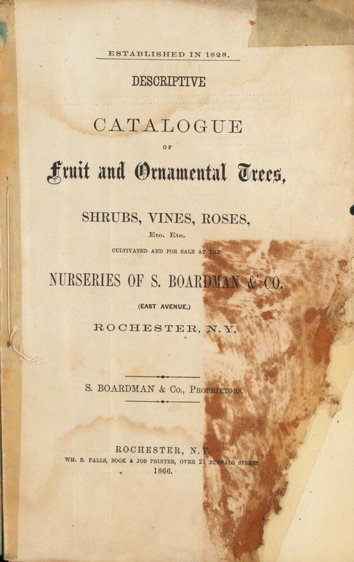 'S. Boardman & Co. Archive'  photo