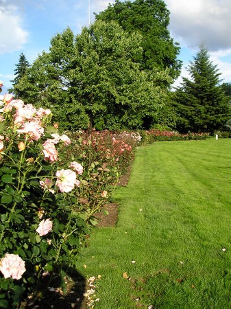 'George E. Owen Memorial Rose Garden'  photo