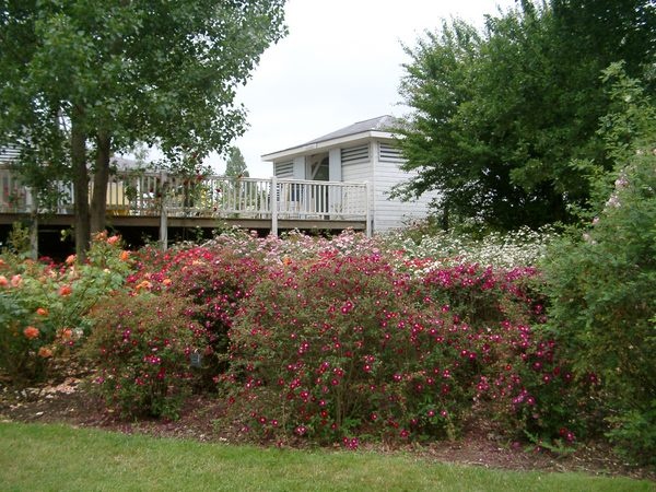 'Les Chemins de la Rose'  photo