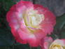 Château de Beauregard rose photo