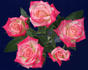 Bella Diana rose photo