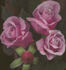 Lois rose photo
