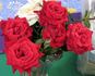 Ricky Hendrick rose photo