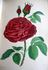 Triomphe d'Amiens rose photo