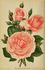 Mademoiselle Marie Perrin rose photo