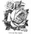 Kaiser Wilhelm rose photo