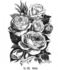 Seerose rose photo