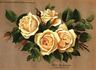 Elise Heymann rose photo