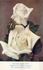 Elizabeth Arden rose photo