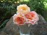 Horace McFarland rose photo
