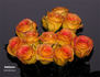 Ambiance rose photo