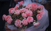 Josiane Pierre-Bissey rose photo