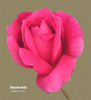 Mission Bells rose photo