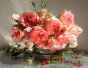 Jet Set rose photo