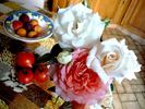 Armorique Nirpaysage rose photo