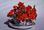 Beauty Secret rose photo