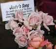 Judy's Song rose photo