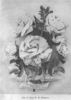 N. I. Kichunov rose photo