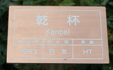 Kanpai rose photo
