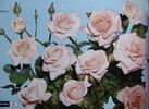 Enzo Fumagalli rose photo